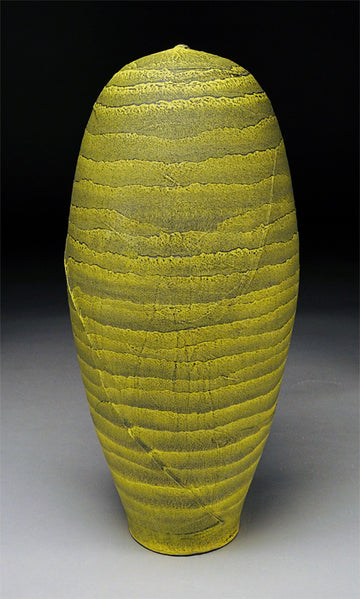 Banded Yellow Shell